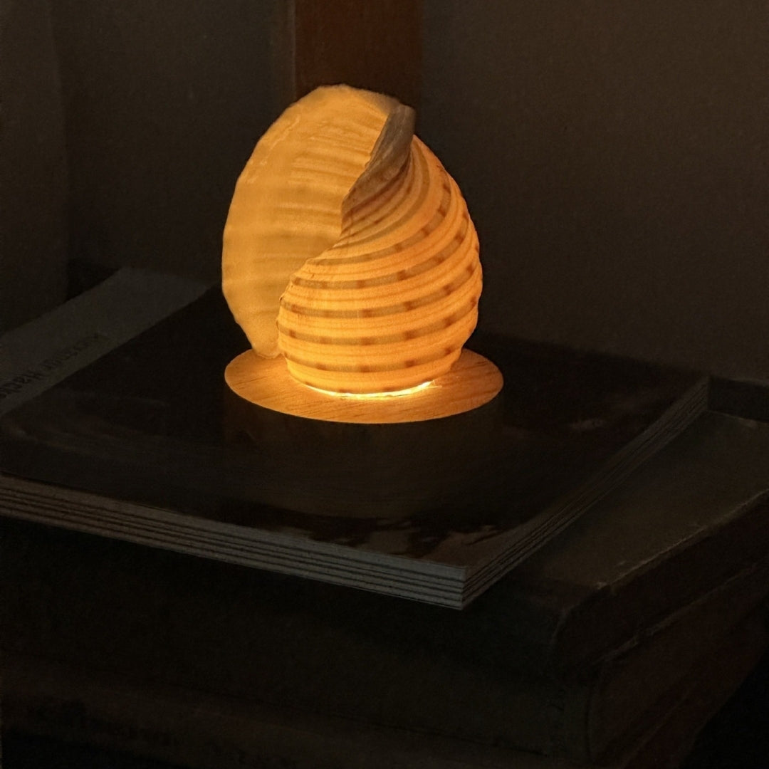 PearlShell Night Lamp – Natural Conch Ambient Light