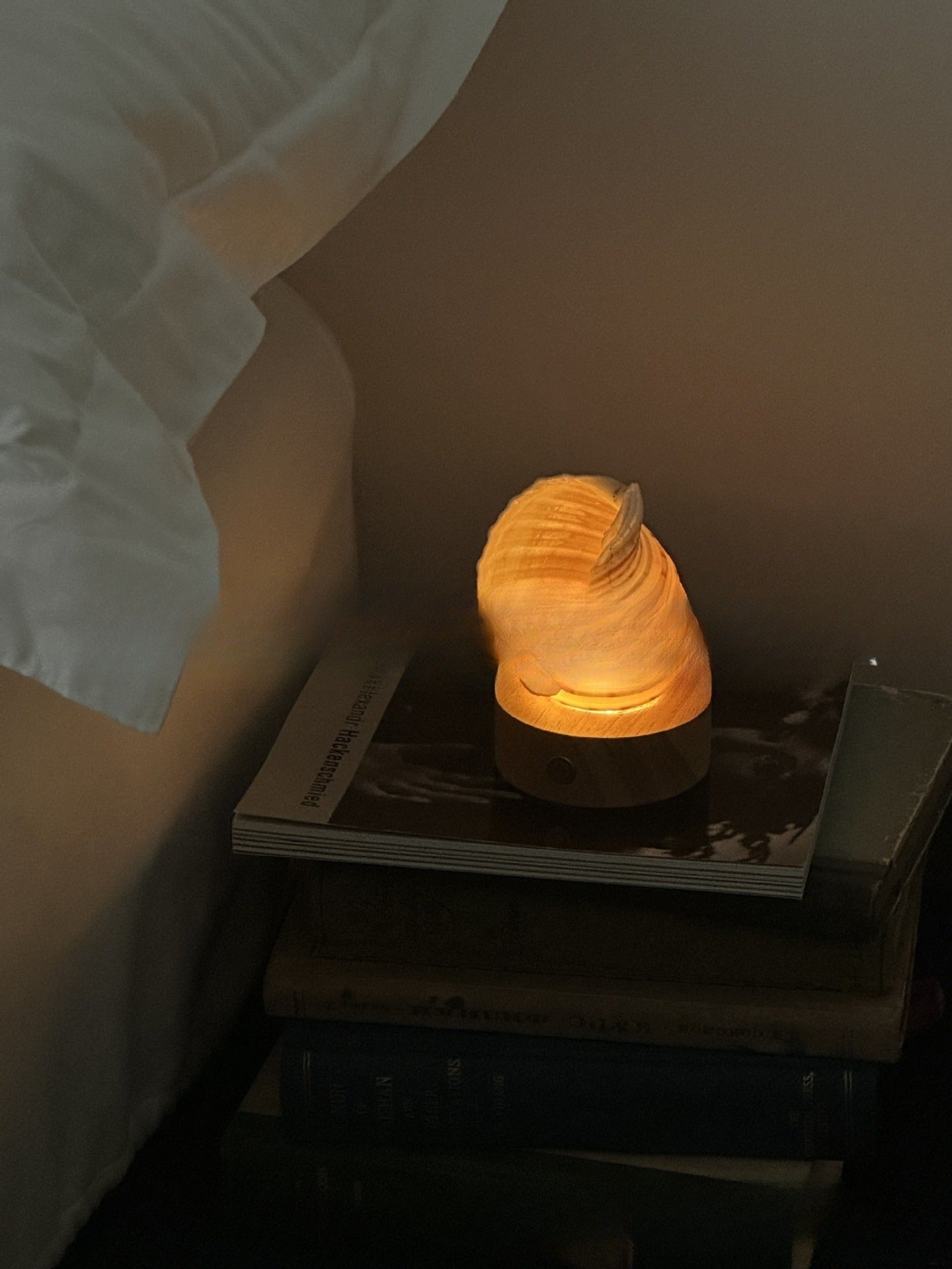 PearlShell Night Lamp – Natural Conch Ambient Light