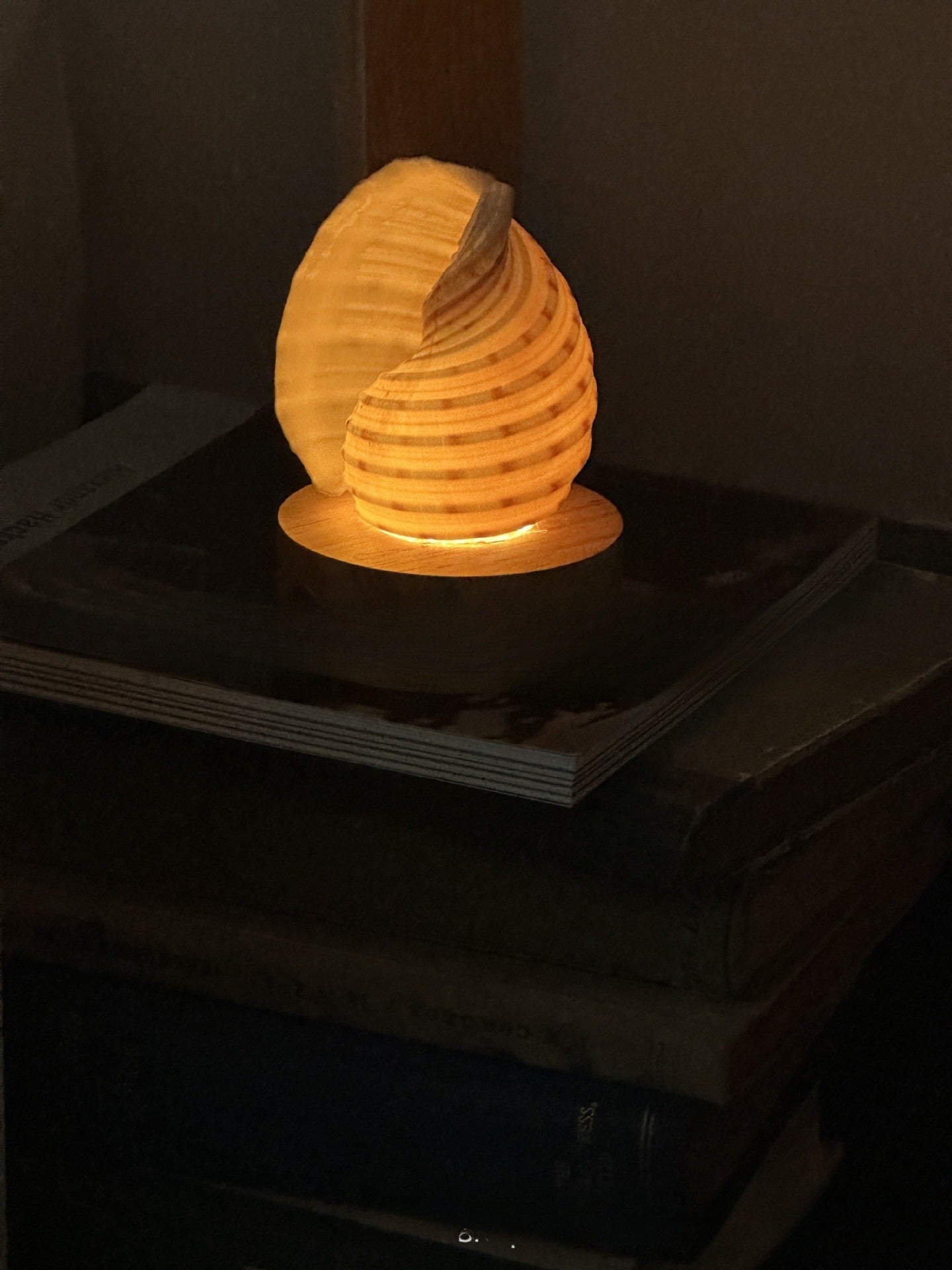 PearlShell Night Lamp – Natural Conch Ambient Light