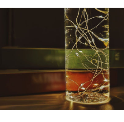 Solvéra Bottle LED Lights – Solar Ambient Glow String